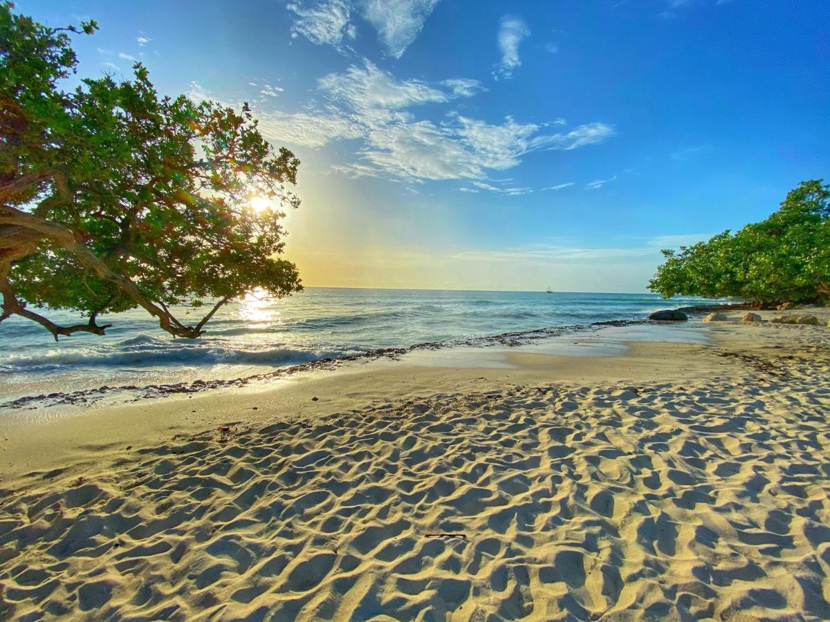 Palm Beach Paradise Vacation Rental Ngoại thất bức ảnh